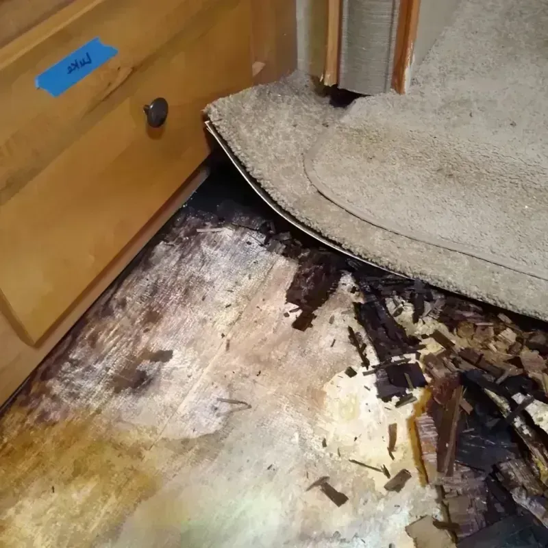 Wood Floor Water Damage in Summerset, SD